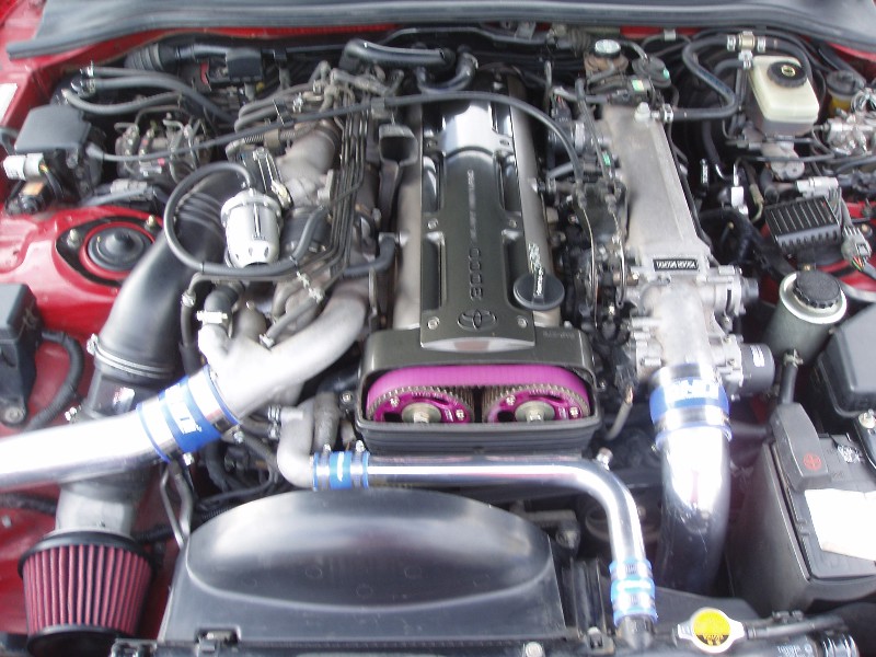 04_800x600.jpg