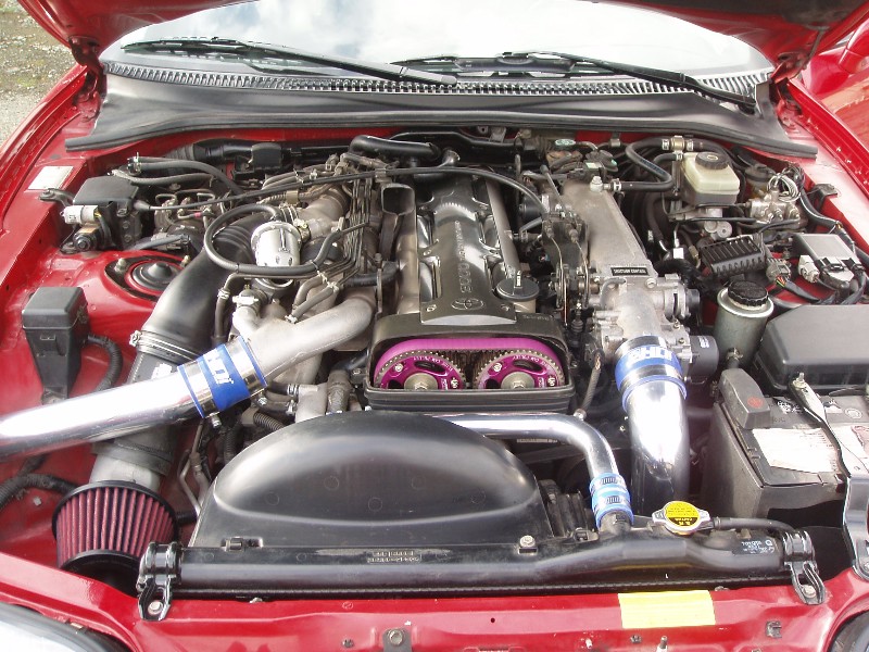 07_800x600.jpg